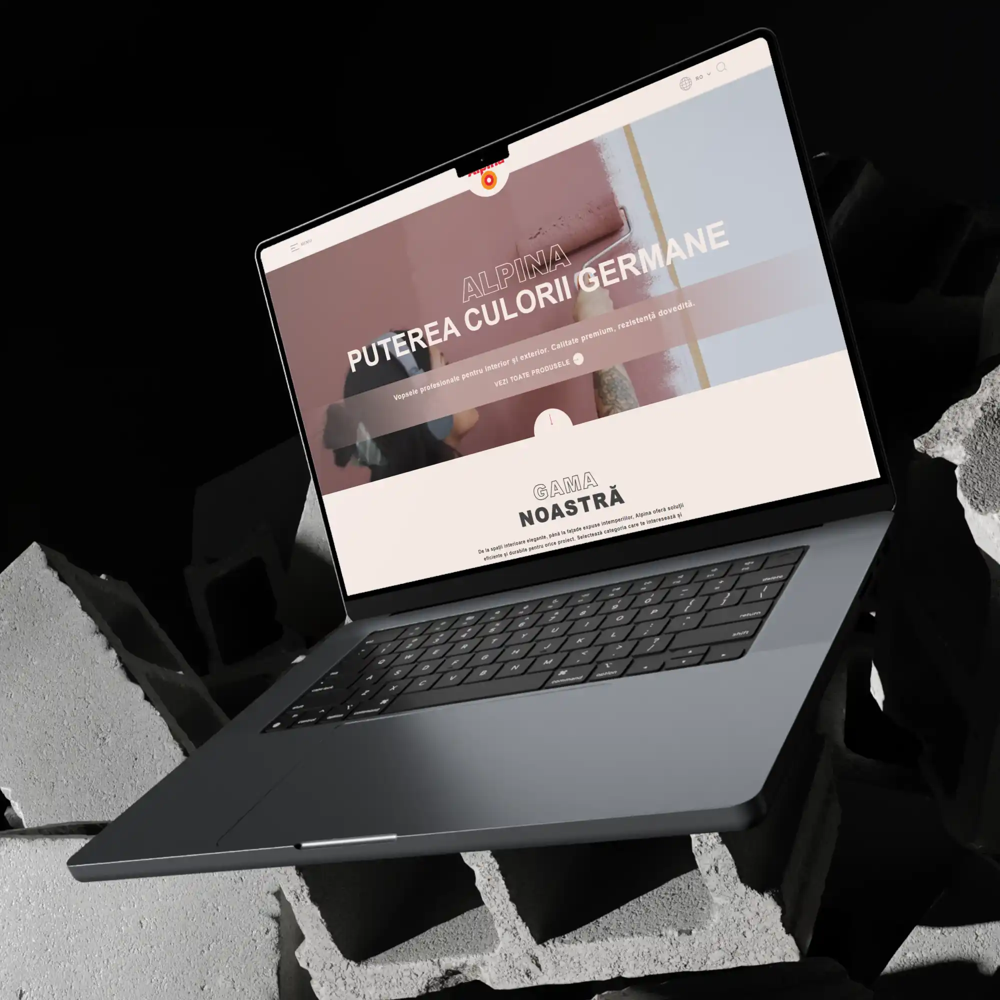 Alpina Moldova project preview 1