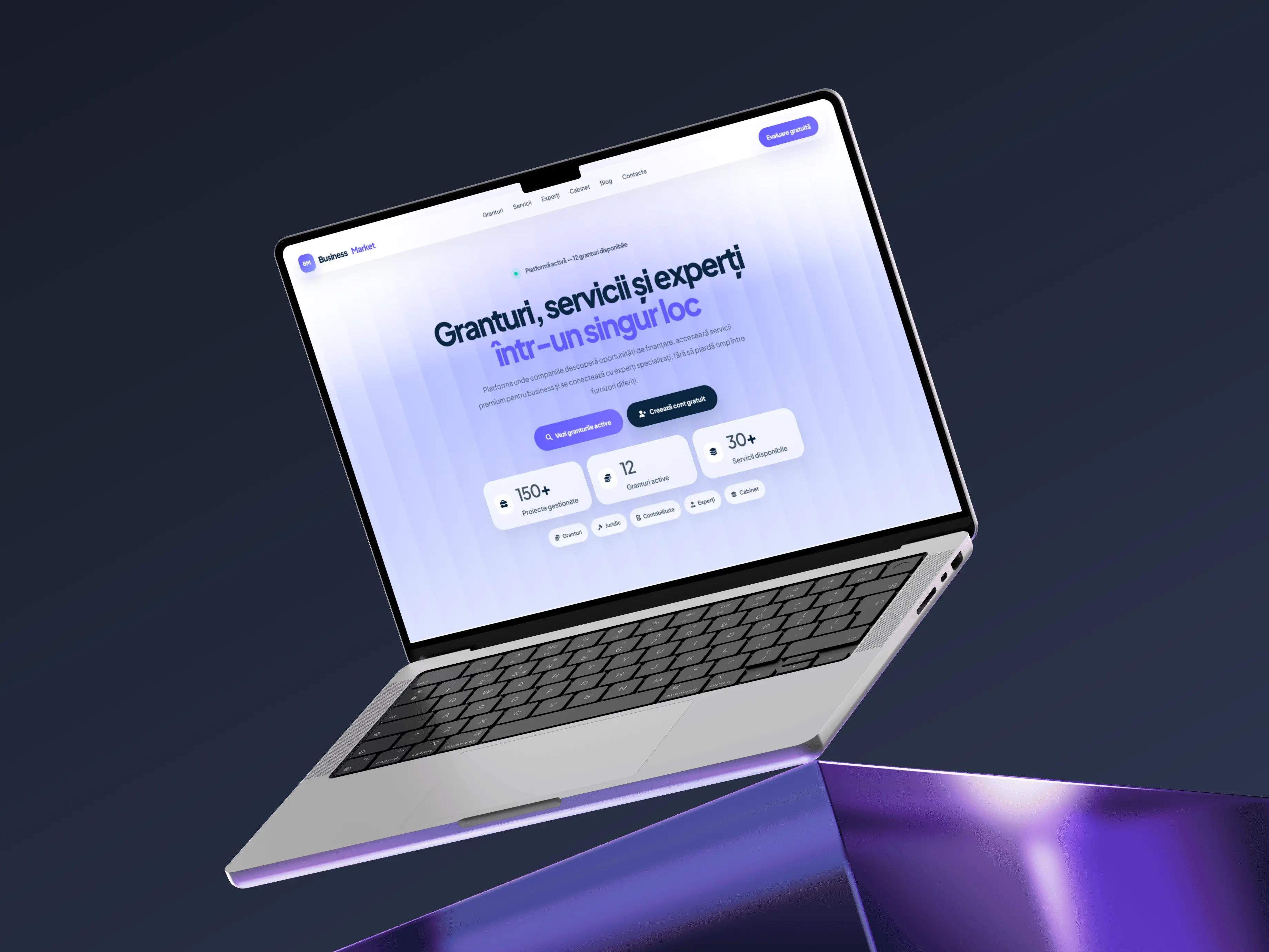 Business Market project preview 1