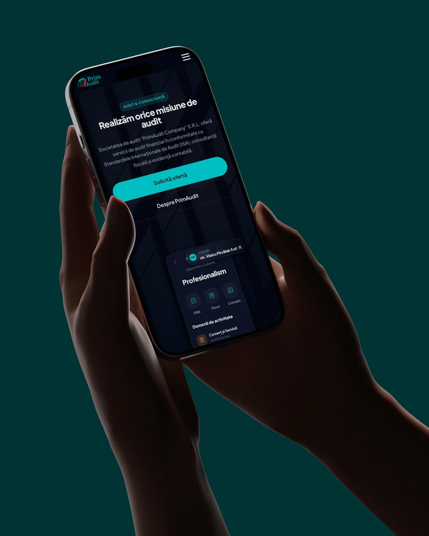 PrimAudit project preview 2